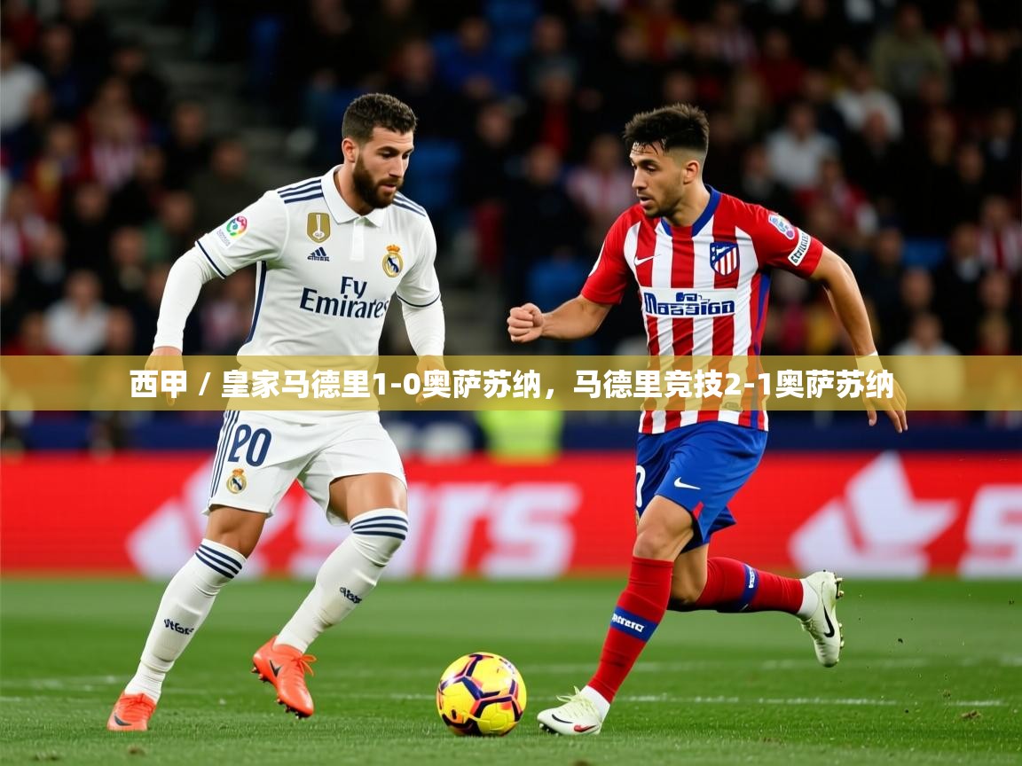 2025云开体育app官网入口网页版西甲 / 皇家马德里1-0奥萨苏纳，马德里竞技2-1奥萨苏纳  第4张