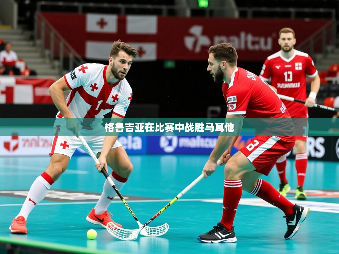 2026开云体育官网格鲁吉亚在比赛中战胜马耳他  第1张