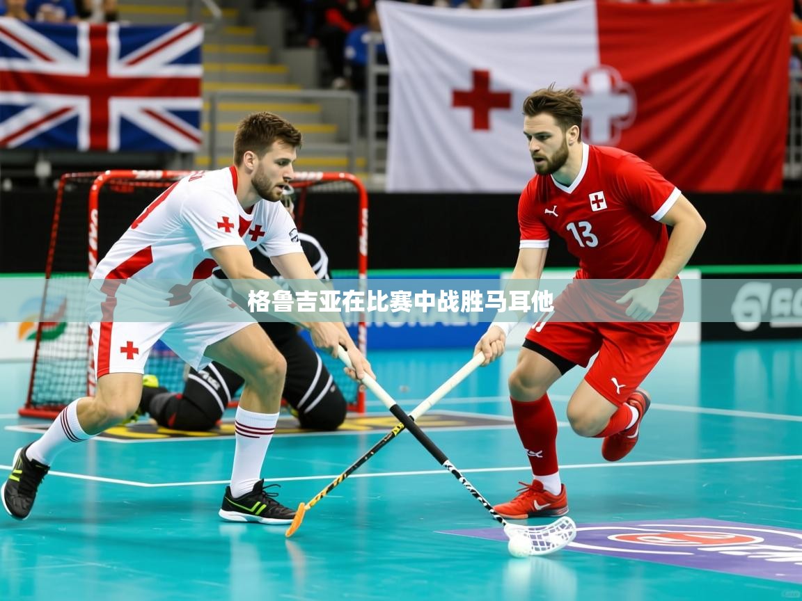 2026开云体育官网格鲁吉亚在比赛中战胜马耳他  第4张